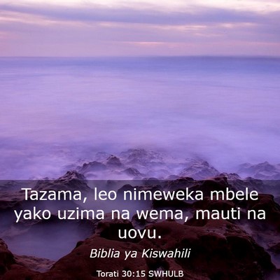 Picture 03 - Torati 30:15 SWHULB - Tazama, leo nimeweka mbele yako uzima na wema, - Bible Verse Picture