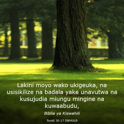 Picture 03 - Torati 30:17 SWHULB - Lakini moyo wako ukigeuka, na usisikilize na - Bible Verse Picture