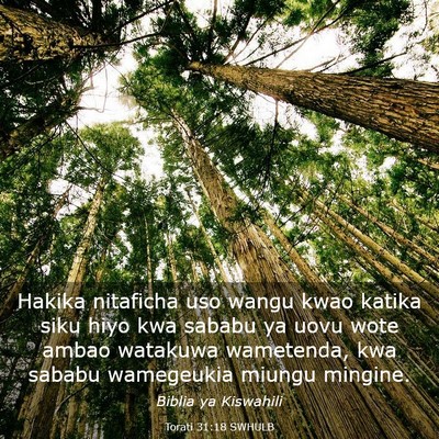 Picture 03 - Torati 31:18 SWHULB - Hakika nitaficha uso wangu kwao katika siku hiyo - Bible Verse Picture