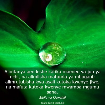 Picture 03 - Torati 32:13 SWHULB - Alimfanya aendeshe katika maeneo ya juu ya nchi, - Bible Verse Picture
