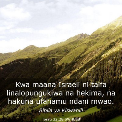 Picture 03 - Torati 32:28 SWHULB - Kwa maana Israeli ni taifa linalopungukiwa na - Bible Verse Picture
