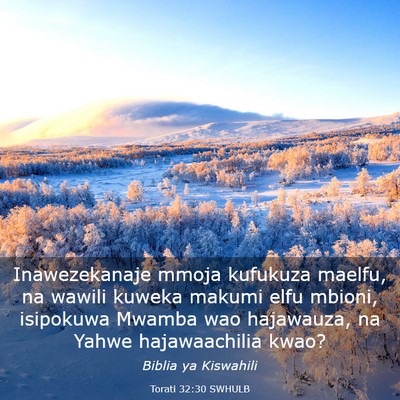 Picture 03 - Torati 32:30 SWHULB - Inawezekanaje mmoja kufukuza maelfu, na wawili - Bible Verse Picture