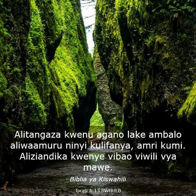Picture 03 - Torati 4:13 SWHULB - Alitangaza kwenu agano lake ambalo aliwaamuru - Bible Verse Picture