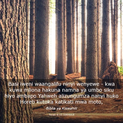 Picture 03 - Torati 4:15 SWHULB - Basi iweni waangalifu ninyi wenyewe - kwa kuwa - Bible Verse Picture
