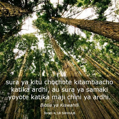 Picture 03 - Torati 4:18 SWHULB - sura ya kitu chochote kitambaacho katika ardhi, - Bible Verse Picture