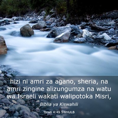 Picture 03 - Torati 4:45 SWHULB - hizi ni amri za agano, sheria, na amri zingine - Bible Verse Picture