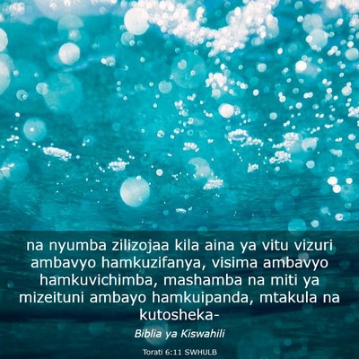 Picture 03 - Torati 6:11 SWHULB - na nyumba zilizojaa kila aina ya vitu vizuri - Bible Verse Picture