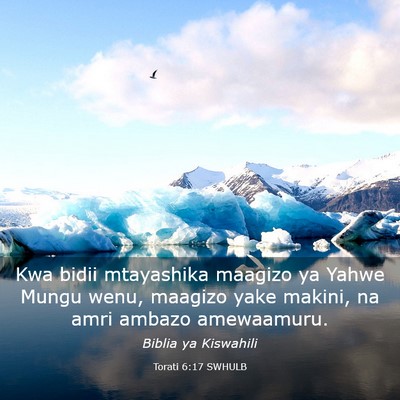 Picture 03 - Torati 6:17 SWHULB - Kwa bidii mtayashika maagizo ya Yahwe Mungu wenu, - Bible Verse Picture