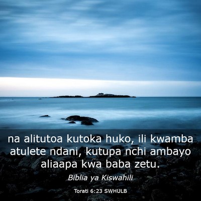 Picture 03 - Torati 6:23 SWHULB - na alitutoa kutoka huko, ili kwamba atulete - Bible Verse Picture