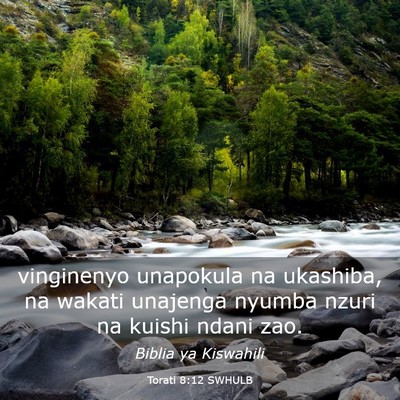 Picture 03 - Torati 8:12 SWHULB - vinginenyo unapokula na ukashiba, na wakati - Bible Verse Picture