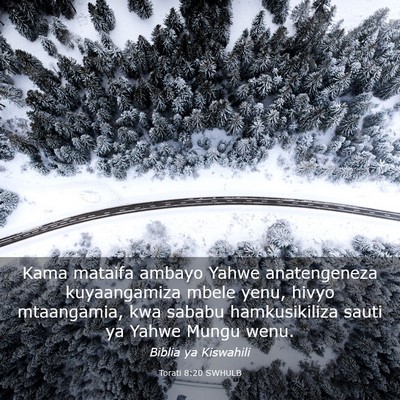 Picture 03 - Torati 8:20 SWHULB - Kama mataifa ambayo Yahwe anatengeneza - Bible Verse Picture