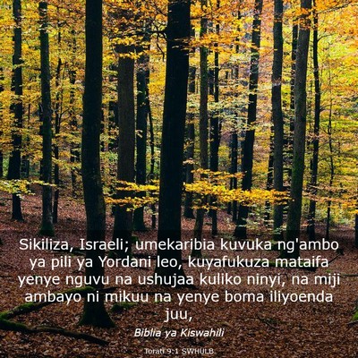 Picture 03 - Torati 9:1 SWHULB - Sikiliza, Israeli; umekaribia kuvuka ng'ambo ya - Bible Verse Picture