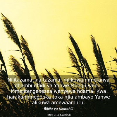 Picture 03 - Torati 9:16 SWHULB - Nilitazama, na tazama, mlikuwa mmefanya dhambi - Bible Verse Picture