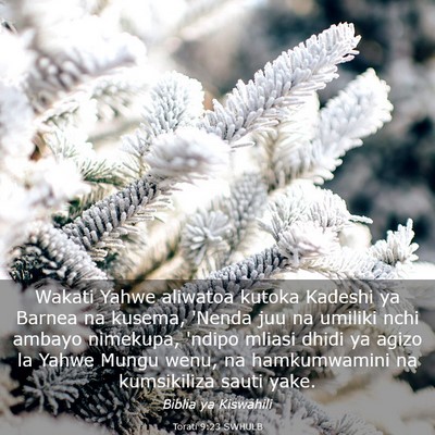Picture 03 - Torati 9:23 SWHULB - Wakati Yahwe aliwatoa kutoka Kadeshi ya Barnea na - Bible Verse Picture