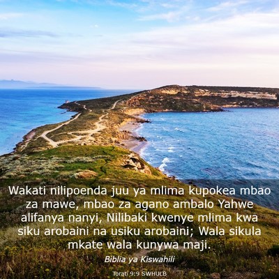 Picture 03 - Torati 9:9 SWHULB - Wakati nilipoenda juu ya mlima kupokea mbao za - Bible Verse Picture