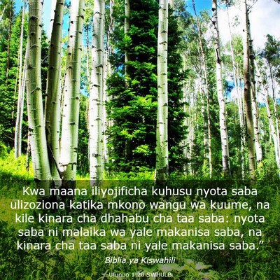 Picture 03 - Ufunuo 1:20 SWHULB - Kwa maana iliyojificha kuhusu nyota saba - Bible Verse Picture