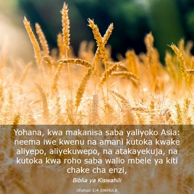 Picture 03 - Ufunuo 1:4 SWHULB - Yohana, kwa makanisa saba yaliyoko Asia: neema - Bible Verse Picture