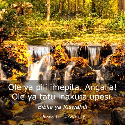 Picture 03 - Ufunuo 11:14 SWHULB - Ole ya pili imepita. Angalia! Ole ya tatu inakuja - Bible Verse Picture