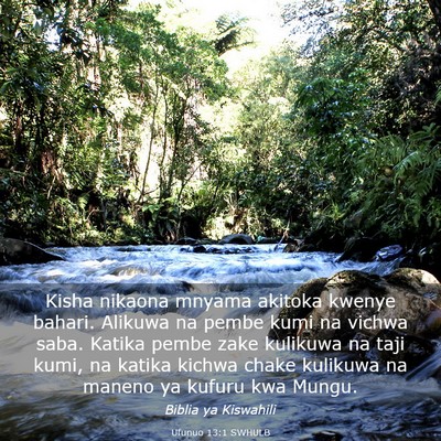 Picture 03 - Ufunuo 13:1 SWHULB - Kisha nikaona mnyama akitoka kwenye bahari. - Bible Verse Picture