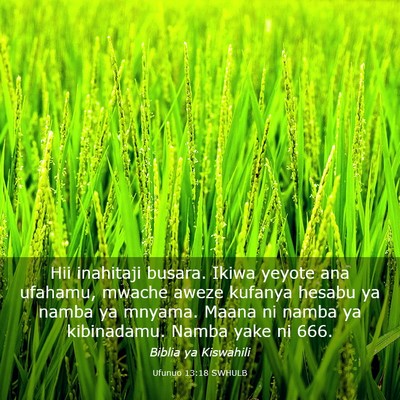 Picture 03 - Ufunuo 13:18 SWHULB - Hii inahitaji busara. Ikiwa yeyote ana ufahamu, - Bible Verse Picture