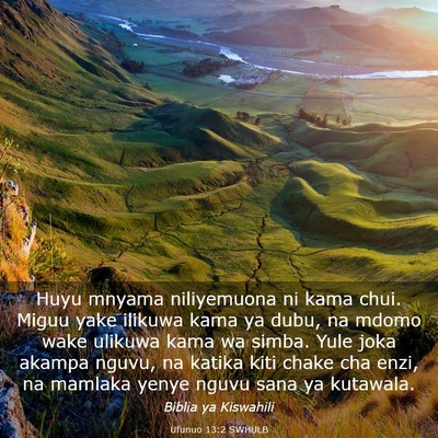 Picture 03 - Ufunuo 13:2 SWHULB - Huyu mnyama niliyemuona ni kama chui. Miguu yake - Bible Verse Picture