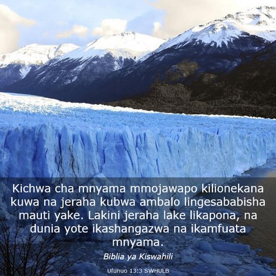 Picture 03 - Ufunuo 13:3 SWHULB - Kichwa cha mnyama mmojawapo kilionekana kuwa na - Bible Verse Picture
