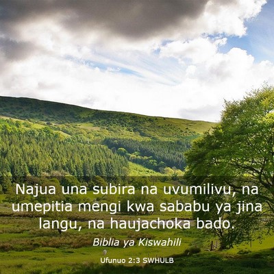 Picture 03 - Ufunuo 2:3 SWHULB - Najua una subira na uvumilivu, na umepitia mengi - Bible Verse Picture