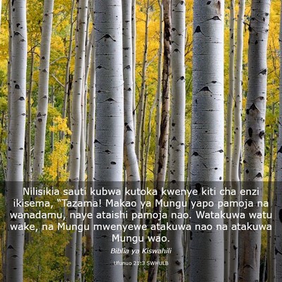 Picture 03 - Ufunuo 21:3 SWHULB - Nilisikia sauti kubwa kutoka kwenye kiti cha enzi - Bible Verse Picture