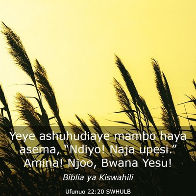 Picture 03 - Ufunuo 22:20 SWHULB - Yeye ashuhudiaye mambo haya asema, “Ndiyo! Naja - Bible Verse Picture