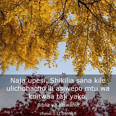Picture 03 - Ufunuo 3:11 SWHULB - Naja upesi. Shikilia sana kile ulichonacho ili - Bible Verse Picture
