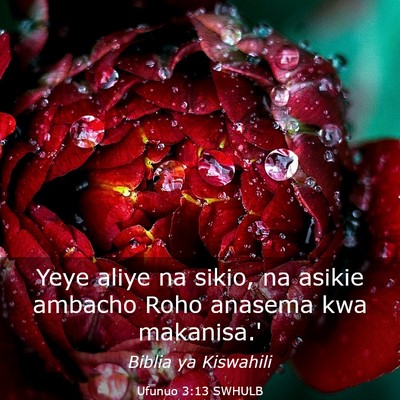 Picture 03 - Ufunuo 3:13 SWHULB - Yeye aliye na sikio, na asikie ambacho Roho - Bible Verse Picture