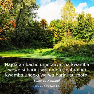 Picture 03 - Ufunuo 3:15 SWHULB - Najua ambacho umefanya, na kwamba wewe si baridi - Bible Verse Picture