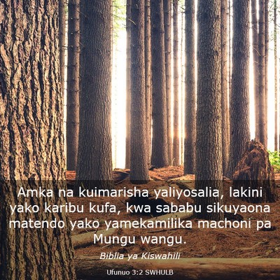 Picture 03 - Ufunuo 3:2 SWHULB - Amka na kuimarisha yaliyosalia, lakini yako - Bible Verse Picture