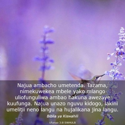 Picture 03 - Ufunuo 3:8 SWHULB - Najua ambacho umetenda. Tazama, nimekuwekea mbele - Bible Verse Picture