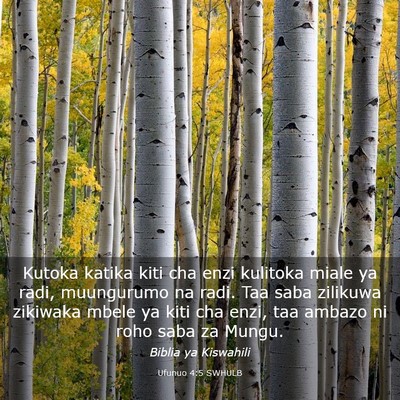 Picture 03 - Ufunuo 4:5 SWHULB - Kutoka katika kiti cha enzi kulitoka miale ya - Bible Verse Picture