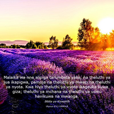 Picture 03 - Ufunuo 8:12 SWHULB - Malaika wa nne alipiga tarumbeta yake, na - Bible Verse Picture
