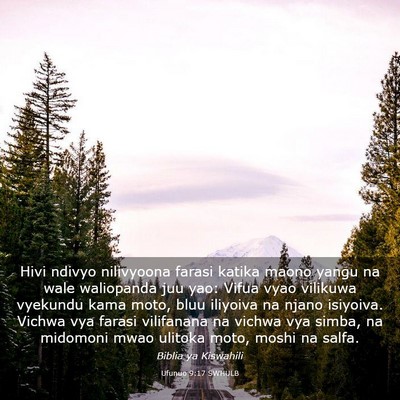 Picture 03 - Ufunuo 9:17 SWHULB - Hivi ndivyo nilivyoona farasi katika maono yangu - Bible Verse Picture