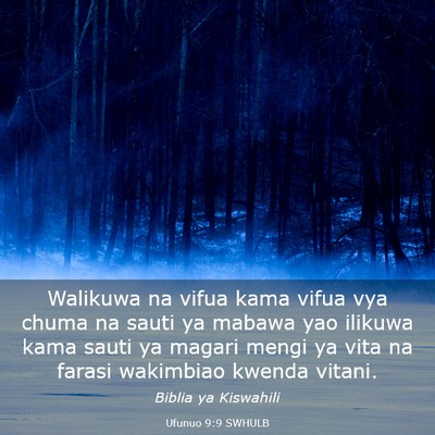 Picture 03 - Ufunuo 9:9 SWHULB - Walikuwa na vifua kama vifua vya chuma na sauti - Bible Verse Picture