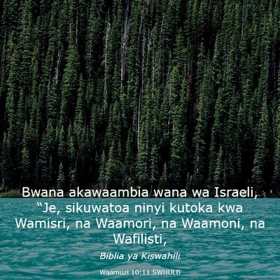 Picture 03 - Waamuzi 10:11 SWHULB - Bwana akawaambia wana wa Israeli, “Je, - Bible Verse Picture