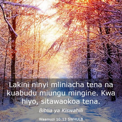 Picture 03 - Waamuzi 10:13 SWHULB - Lakini ninyi mliniacha tena na kuabudu miungu - Bible Verse Picture