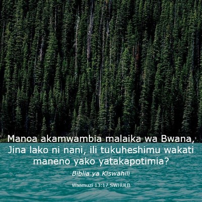 Picture 03 - Waamuzi 13:17 SWHULB - Manoa akamwambia malaika wa Bwana, Jina lako ni - Bible Verse Picture