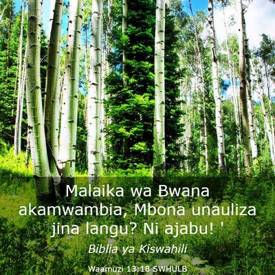 Picture 03 - Waamuzi 13:18 SWHULB - Malaika wa Bwana akamwambia, Mbona unauliza jina - Bible Verse Picture