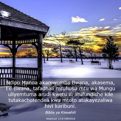 Picture 03 - Waamuzi 13:8 SWHULB - Ndipo Manoa akamwomba Bwana, akasema, Ee Bwana, - Bible Verse Picture