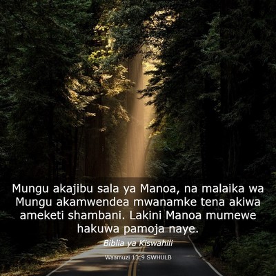 Picture 03 - Waamuzi 13:9 SWHULB - Mungu akajibu sala ya Manoa, na malaika wa Mungu - Bible Verse Picture