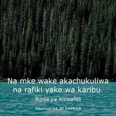 Picture 03 - Waamuzi 14:20 SWHULB - Na mke wake akachukuliwa na rafiki yake wa - Bible Verse Picture