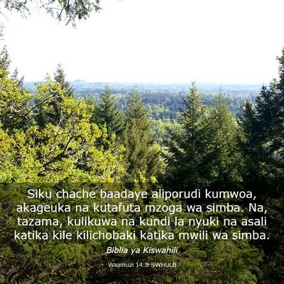 Picture 03 - Waamuzi 14:8 SWHULB - Siku chache baadaye aliporudi kumwoa, akageuka na - Bible Verse Picture