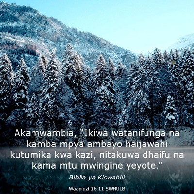 Picture 03 - Waamuzi 16:11 SWHULB - Akamwambia, “Ikiwa watanifunga na kamba mpya - Bible Verse Picture