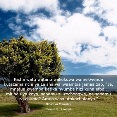 Picture 03 - Waamuzi 18:14 SWHULB - Kisha watu watano waliokuwa wamekwenda kutazama - Bible Verse Picture