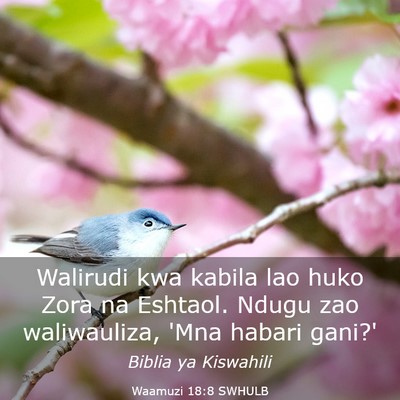 Picture 03 - Waamuzi 18:8 SWHULB - Walirudi kwa kabila lao huko Zora na Eshtaol. - Bible Verse Picture
