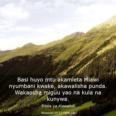 Picture 03 - Waamuzi 19:21 SWHULB - Basi huyo mtu akamleta Mlawi nyumbani kwake, - Bible Verse Picture